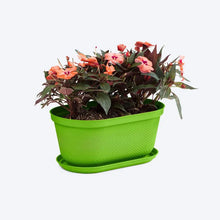 Matera Ovalada Rafia 40 Cm con Plato Verde Lima