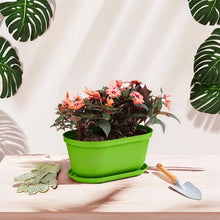 Matera Ovalada Rafia 40 Cm con Plato Verde Lima
