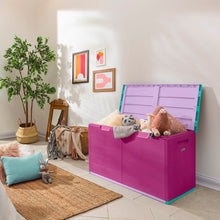 Baúl 200 Lt Barú Tricolor Niña