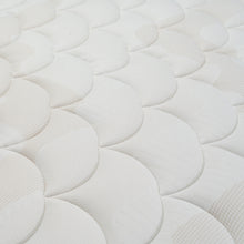 Colchón Spring Zen Natural Sencillo 100X190 Cm  Gratis Almohada Siliconada