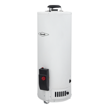 Calentador De Agua Haceb Acumulación a Gas Natural 20 Galones Blanco