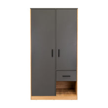 Closet Ader, Plata Oscuro y Fresno Europeo, de dos puertas ZF