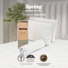 2 X 1 Almohada Spring Cool Fresh
