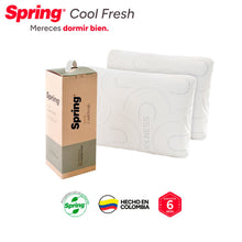 2 X 1 Almohada Spring Cool Fresh