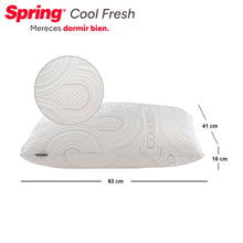 2 X 1 Almohada Spring Cool Fresh
