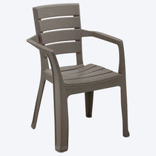 Silla Barú con Brazos Mocca