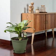 Matera Redonda Rafia 30 Cm con Plato Verde Musgo