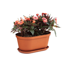 Matera Ovalada Rafia 40 Cm con Plato Terracota