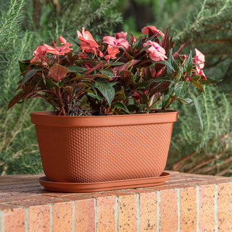 Matera Ovalada Rafia 40 Cm con Plato Terracota