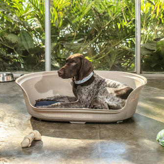 Cama Para Perros Taupe