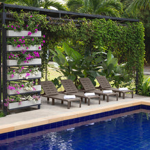 Cama Asoleadora Barú Mocca