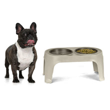 Comedero Alto para Perros Medium Taupe