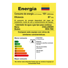 Calentador De Paso Gas Natural 6 Lt Tiro Natural Challenger, Color Blanco