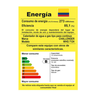 Calentador De Paso Gas Natural 12 Lt Tiro Forzado Challenger, Color Blanco