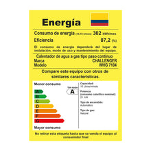 Calentador De Paso Gas Natural 10 Lt Tiro Forzado Challenger, Color Blanco