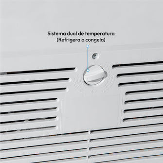 Congelador Horizontal 230 Lts Challenger, Color Blanco