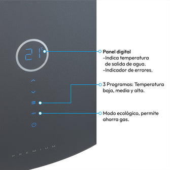 Calentador Digital De Paso Gas Natural 12 Lt Tiro Forzado Challenger, Color Negro