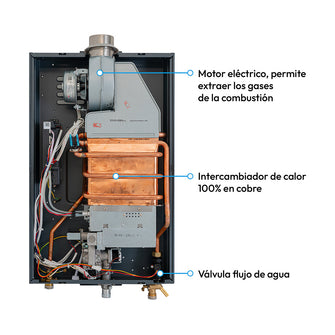 Calentador Digital De Paso Gas Natural 12 Lt Tiro Forzado Challenger, Color Negro