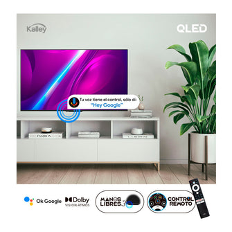 Combo Econ, Incluye Mesa Para TV Y Televisor de 55"