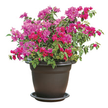 Matera Redonda 50 Cm Wengue