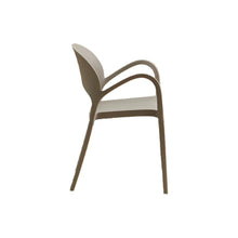 Set de 6 Sillas Bremen, Taupe, con Espaldar, Reposa Brazos y Diseño Minimalista