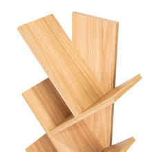 Biblioteca Kings, Fresno Europeo, con multiples espacios para ubicar objetos decorativos