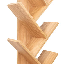 Biblioteca Kings, Fresno Europeo, con multiples espacios para ubicar objetos decorativos