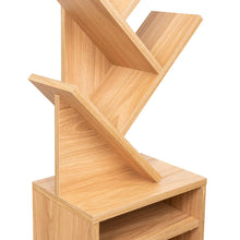 Biblioteca Kings, Fresno Europeo, con multiples espacios para ubicar objetos decorativos