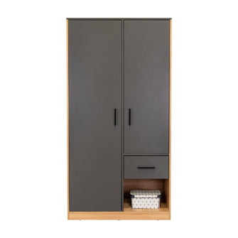 Closet Giroa, Plata Oscuro y Fresno Europeo, con dos puertas abatibles