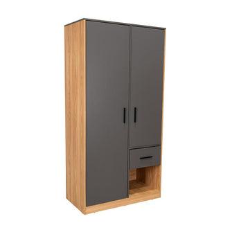 Closet Giroa, Plata Oscuro y Fresno Europeo, con dos puertas abatibles