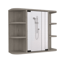 Gabinete de Baño Delio, Humo, con Una Puerta de Espejo Abatible y Seis Entrepaños ZF X2