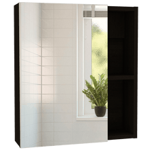 Gabinete de Baño Labell, Wengue, con Puerta y Entrepaños X2