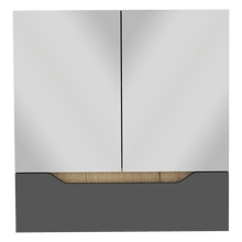 Gabinete de Baño Vicent, Plata Oscuro y Café Claro, con Espejo