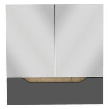 Gabinete de Baño Vicent, Plata Oscuro y Café Claro, con Espejo X2