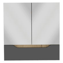 Gabinete de Baño Vicent, Plata Oscuro y Café Claro, con Espejo X2