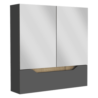 Gabinete de Baño Vicent, Plata Oscuro y Café Claro, con Espejo X2