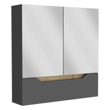 Gabinete de Baño Vicent, Plata Oscuro y Café Claro, con Espejo X2