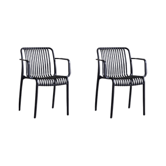 Silla Terra con Brazos, Color Negro, Con espaldar X2