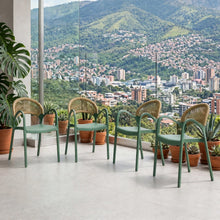 Set de 4 Sillas Daytona, Verde, con Espaldar, Reposa Brazos y Diseño Minimalista