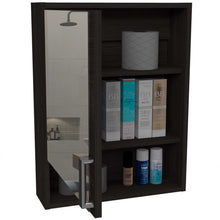 Gabinete de Baño Guido, Gris Ahumado, Incluye Puerta Espejo y Tres Entrepaños